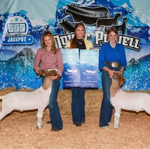 Meet your Posher, Rylee